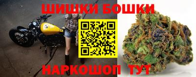 дживик Моздок