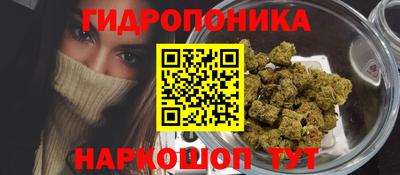дживик Моздок