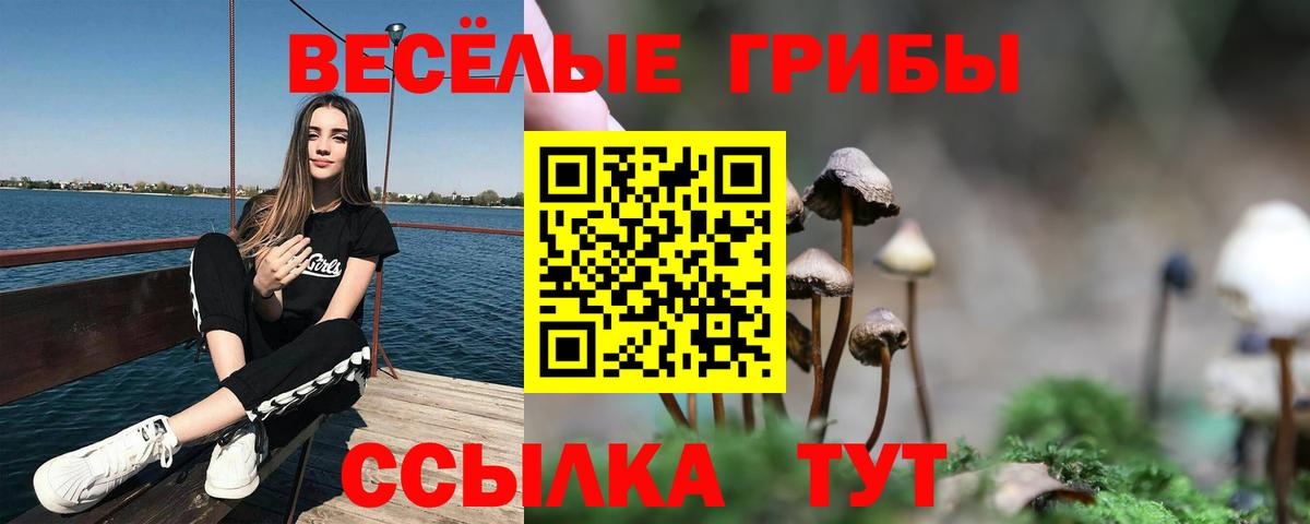 Псилоцибиновые грибы ЛСД Фролово